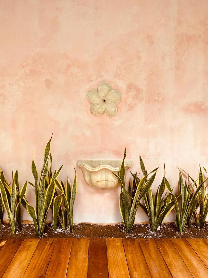 Casa Nicte, Hospedate En Una Casa Del Siglo XVIII Campeche Zewnętrze zdjęcie